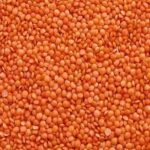 MASOOR DAL BULK