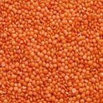 MALKA MASOOR DAL BULK