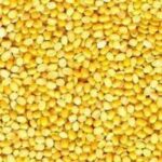 MOONG DHULI DAL BULK