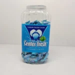 CENTER FRESH SPEARMINT FLAVOUR CHEWING GUM