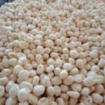 MAKHANA BULK