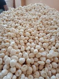 MAKHANA BULK