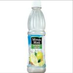 MINUTE MAID NIMBU FRESH 250ML