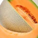 MUSK MELON