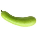 BOTTLE GOURD