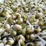 SPROUTS