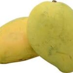 MANGO CHAUSA