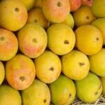 ALPHANSO MANGO (HAPUS) 1 KG
