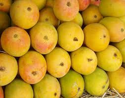 ALPHANSO MANGO (HAPUS) 1 KG