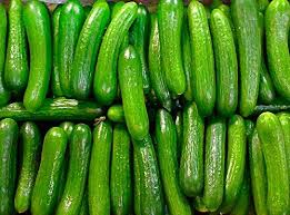 PERSIAN CUCUMBER
