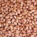 RAW PEANUT TESMART BULK